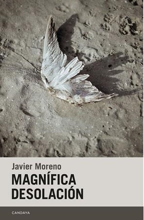 MAGNÍFICA DESOLACIÓN | 9788418504563 | MORENO GARCÍA,FRANCISCO JAVIER | Libreria Geli - Librería Online de Girona - Comprar libros en catalán y castellano