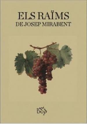 ELS RAÏMS | 9788412619737 | MIRABENT I GATELL,JOSEP | Libreria Geli - Librería Online de Girona - Comprar libros en catalán y castellano