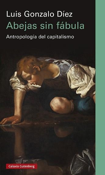 ABEJAS SIN FÁBULA | 9788419392138 | DÍEZ,LUIS GONZALO | Libreria Geli - Librería Online de Girona - Comprar libros en catalán y castellano