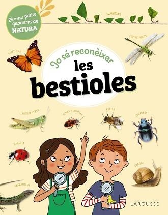 JO SÉ RECONÈIXER LES BESTIOLES | 9788419436283 | LEBRUN,SANDRA | Llibreria Geli - Llibreria Online de Girona - Comprar llibres en català i castellà