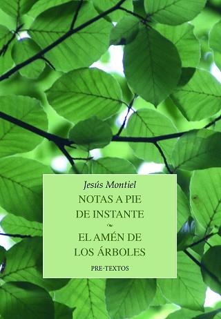 NOTAS A PIE DE INSTANTE / EL AMÉN DE LOS ÁRBOLES | 9788419633255 | MONTIEL,JESÚS | Libreria Geli - Librería Online de Girona - Comprar libros en catalán y castellano