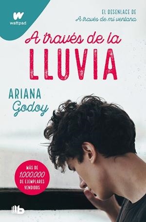 A TRAVÉS DE LA LLUVIA (EDICIÓN REVISADA POR LA AUTORA.TRILOGÍA HERMANOS HIDALGO-3) | 9788413147994 | GODOY,ARIANA | Libreria Geli - Librería Online de Girona - Comprar libros en catalán y castellano