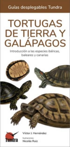 TORTUGAS DE TIERRA Y GALAPAGOS | 9788416702930 | HERNANDEZ,VICTOR J. | Llibreria Geli - Llibreria Online de Girona - Comprar llibres en català i castellà