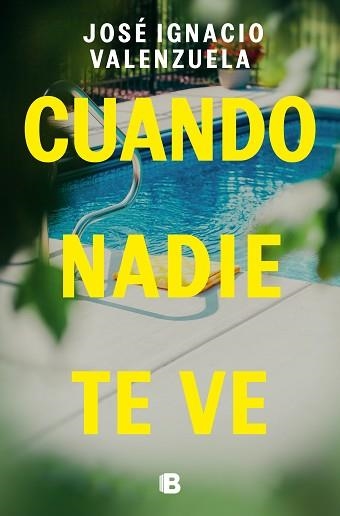 CUANDO NADIE TE VE | 9788466675192 | VALENZUELA,JOSÉ IGNACIO | Libreria Geli - Librería Online de Girona - Comprar libros en catalán y castellano
