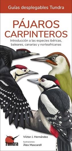 PÁJAROS CARPINTEROS | 9788419624192 | Libreria Geli - Librería Online de Girona - Comprar libros en catalán y castellano