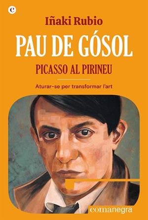 PAU DE GÓSOL.PICASSO AL PIRINEU | 9788419590404 | RUBIO,IÑAKI | Libreria Geli - Librería Online de Girona - Comprar libros en catalán y castellano