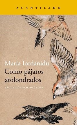 COMO PÁJAROS ATOLONDRADOS | 9788419036704 | IORDANIDU,MARIA | Libreria Geli - Librería Online de Girona - Comprar libros en catalán y castellano