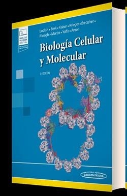 BIOLOGÍA CELULAR Y MOLECULAR(9ª EDICIÓN 2023+E-BOOK) | 9788411061896 | LODISH,HARVEY/BERK,ARNOLD/KAISER,CHRIS A. | Libreria Geli - Librería Online de Girona - Comprar libros en catalán y castellano