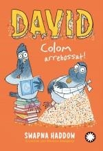 DAVID COLOM ARREBOSSAT | 9788419401762 | HADDOW,SWAPNA / DEMPSEY, SHEENA  | Libreria Geli - Librería Online de Girona - Comprar libros en catalán y castellano