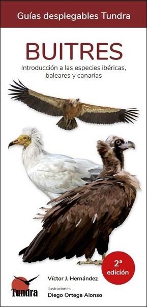 BUITRES.INTRODUCCION A LAS ESPECIES IBERICAS, BALEARES Y CANARIAS | 9788419624321 | HERNANDEZ NAVARRO, VICTOR JOSE  | Llibreria Geli - Llibreria Online de Girona - Comprar llibres en català i castellà