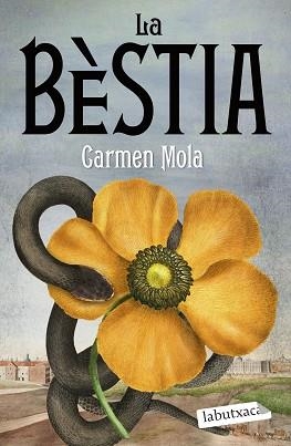 LA BÈSTIA | 9788419107862 | MOLA,CARMEN | Libreria Geli - Librería Online de Girona - Comprar libros en catalán y castellano