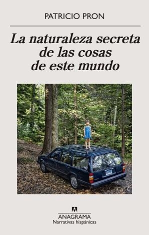LA NATURALEZA SECRETA DE LAS COSAS DE ESTE MUNDO | 9788433911186 | PRON,PATRICIO | Libreria Geli - Librería Online de Girona - Comprar libros en catalán y castellano