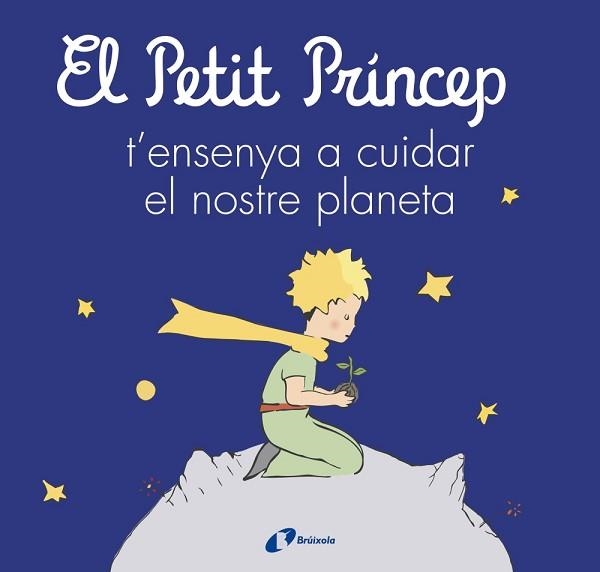 EL PETIT PRÍNCEP T'ENSENYA A CUIDAR EL NOSTRE PLANETA | 9788413493046 | DE SAINT-EXUPÉRY,ANTOINE/CARRIL MARTÍNEZ,ISABEL | Libreria Geli - Librería Online de Girona - Comprar libros en catalán y castellano