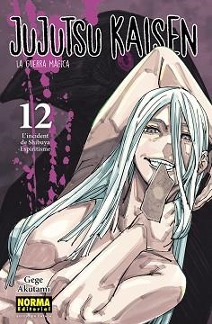 JUJUTSU KAISEN-12(EDICIÓ EN CATALÀ) | 9788467957662 | AKUTAMI,GEGE | Libreria Geli - Librería Online de Girona - Comprar libros en catalán y castellano