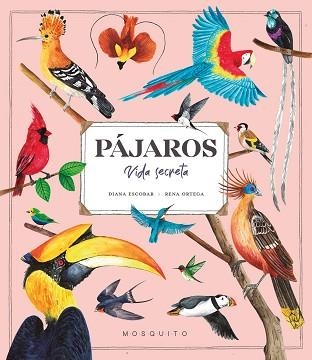 PÁJAROS.VIDA SECRETA | 9788419095527 | ESCOBAR,DIANA | Libreria Geli - Librería Online de Girona - Comprar libros en catalán y castellano