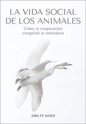 LA VIDA SOCIAL DE LOS ANIMALES | 9788412645491 | WARD,ASHLEY | Libreria Geli - Librería Online de Girona - Comprar libros en catalán y castellano