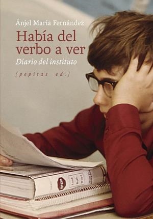 HABÍA DEL VERBO A VER | 9788418998492 | FERNÁNDEZ PASCUAL,ÁNJEL MARÍA | Libreria Geli - Librería Online de Girona - Comprar libros en catalán y castellano