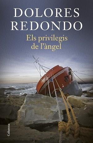 ELS PRIVILEGIS DE L'ÀNGEL | 9788466431224 | REDONDO,DOLORES | Libreria Geli - Librería Online de Girona - Comprar libros en catalán y castellano