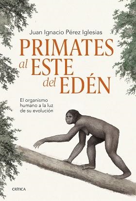 PRIMATES AL ESTE DEL EDÉN | 9788491995869 | PÉREZ IGLESIAS,JUAN IGNACIO | Libreria Geli - Librería Online de Girona - Comprar libros en catalán y castellano