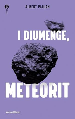 I DIUMENGE,METEORIT (PREMI LLIBRETER 2024 INFANTIL I JUVENIL) | 9788419659415 | PIJUAN,ALBERT | Libreria Geli - Librería Online de Girona - Comprar libros en catalán y castellano