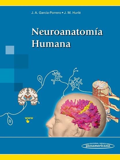 NEUROANATOMÍA HUMANA+VERSIÓN DIGITAL(EDICIÓN 2020) | 9788491107453 | GARCÍA-PORRERO PÉREZ,JUAN ANTONIO/HURLÉ GONZÁLEZ,JUAN MARIO | Libreria Geli - Librería Online de Girona - Comprar libros en catalán y castellano