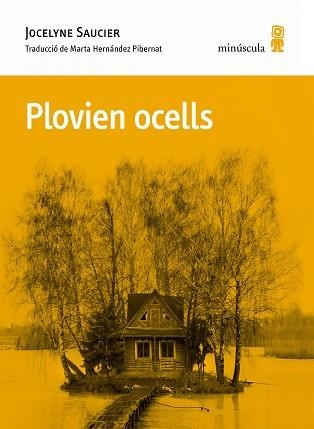 PLOVIEN OCELLS | 9788412662092 | SAUCIER, JOCELYNE | Libreria Geli - Librería Online de Girona - Comprar libros en catalán y castellano