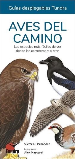 AVES DEL CAMINO | 9788419664754 | HERNANDEZ,VICTOR J. | Llibreria Geli - Llibreria Online de Girona - Comprar llibres en català i castellà