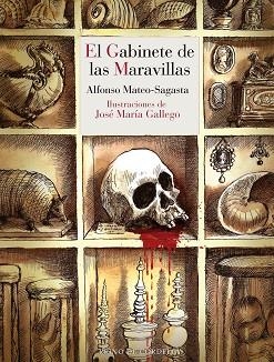 EL GABINETE DE LAS MARAVILLAS | 9788419124746 | MATEO-SAGASTA, ALFONSO | Libreria Geli - Librería Online de Girona - Comprar libros en catalán y castellano