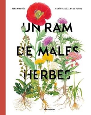 UN RAM DE MALES HERBES | 9788410016132 | NOGUES,ALEX/PASCUAL DE LA TORRE,MARIA | Libreria Geli - Librería Online de Girona - Comprar libros en catalán y castellano