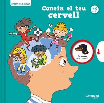PETITS CURIOSOS.CONEIX EL TEU CERVELL | 9788419987068 | HOUDÉ, OLIVIER/BORST, GRÉGOIRE | Libreria Geli - Librería Online de Girona - Comprar libros en catalán y castellano