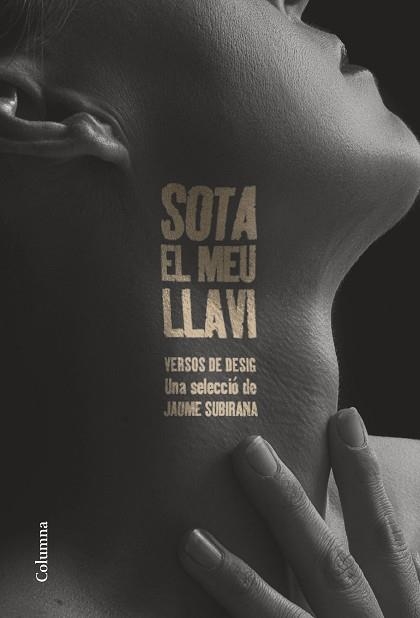 SOTA EL MEU LLAVI | 9788466432177 | SUBIRANA ORTÍN, JAUME | Libreria Geli - Librería Online de Girona - Comprar libros en catalán y castellano