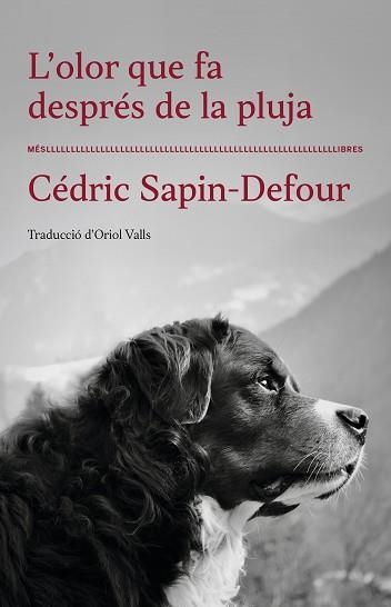 L'OLOR QUE FA DESPRÉS DE LA PLUJA | 9788417353568 | CÉDRIC SAPIN-DEFOUR | Libreria Geli - Librería Online de Girona - Comprar libros en catalán y castellano