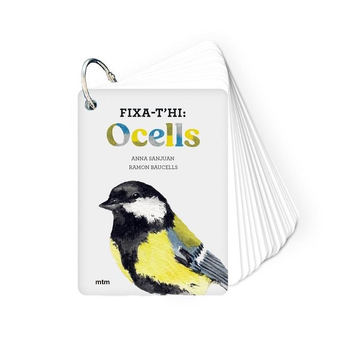 FIXA-T'HI.OCELLS | 9788417165826 | Libreria Geli - Librería Online de Girona - Comprar libros en catalán y castellano