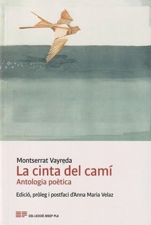 LA CINTA DEL CAMÍ | 9788418734359 | VAYREDA,MONTSERRAT | Llibreria Geli - Llibreria Online de Girona - Comprar llibres en català i castellà