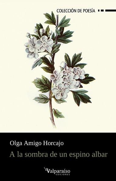 A LA SOMBRA DE UN ESPINO ALBAR | 9788410073593 | AMIGO HORCAJO, OLGA | Libreria Geli - Librería Online de Girona - Comprar libros en catalán y castellano