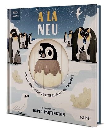 MÀGIA ANIMAL: A LA NEU | 9788468372150 | CLARK, NEIL/STONE, HARRIET | Libreria Geli - Librería Online de Girona - Comprar libros en catalán y castellano