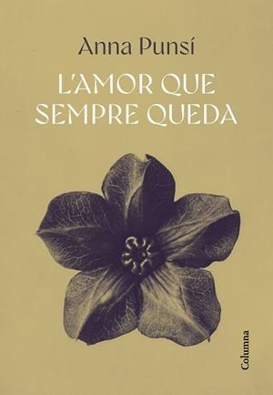 L'AMOR QUE SEMPRE QUEDA | 9788466432382 | PUNSÍ LLADÓ, ANNA | Libreria Geli - Librería Online de Girona - Comprar libros en catalán y castellano