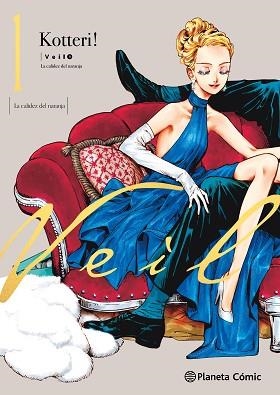 VEIL Nº 01 | 9788411611244 | KOTTERI | Libreria Geli - Librería Online de Girona - Comprar libros en catalán y castellano