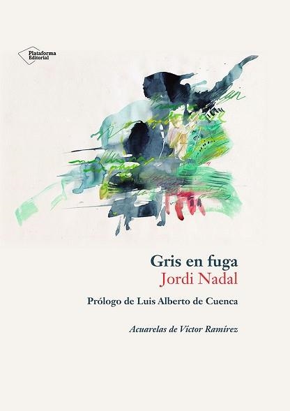 GRIS EN FUGA | 9788410243897 | NADAL HERNÁNDEZ, JORDI | Libreria Geli - Librería Online de Girona - Comprar libros en catalán y castellano