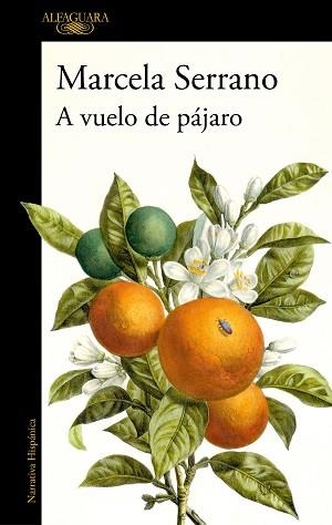 A VUELO DE PÁJARO | 9788420477978 | SERRANO, MARCELA | Llibreria Geli - Llibreria Online de Girona - Comprar llibres en català i castellà