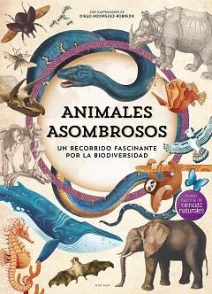 ANIMALES ASOMBROSOS | 9788410269101 | MUSEO NACIONAL DE CIENCIAS NATURALES | Llibreria Geli - Llibreria Online de Girona - Comprar llibres en català i castellà
