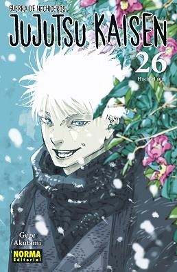 JUJUTSU KAISEN 26 | 9788467971750 | AKUTAMI, GEGE | Libreria Geli - Librería Online de Girona - Comprar libros en catalán y castellano