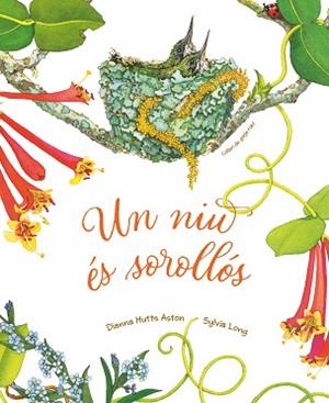UN NIU ÉS SOROLLÓS | 9788418900303 | HUTTS ASTON, DIANNA | Libreria Geli - Librería Online de Girona - Comprar libros en catalán y castellano