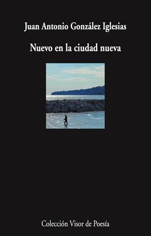 NUEVO EN LA CIUDAD NUEVA | 9788498955910 | GONZÁLEZ IGLESIAS, JUAN ANTONIO | Llibreria Geli - Llibreria Online de Girona - Comprar llibres en català i castellà