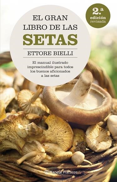 EL GRAN LIBRO DE LAS SETAS | 9788408062615 | BIELLI,ETTORE | Llibreria Geli - Llibreria Online de Girona - Comprar llibres en català i castellà