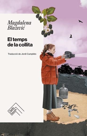 EL TEMPS DE LA COLLITA | 9788419515223 | BLAZEVIC,MAGDALENA | Llibreria Geli - Llibreria Online de Girona - Comprar llibres en català i castellà