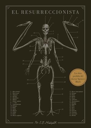 EL RESURRECCIONISTA | 9788445019078 | HUDSPETH, E. B. | Libreria Geli - Librería Online de Girona - Comprar libros en catalán y castellano