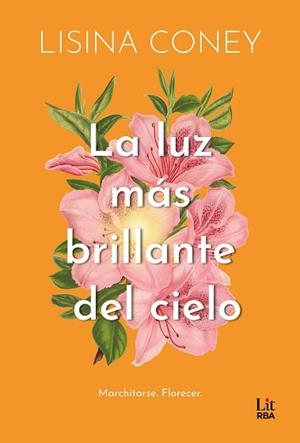 LA LUZ MÁS BRILLANTE DEL CIELO | 9788411329323 | CONEY, LISINA | Llibreria Geli - Llibreria Online de Girona - Comprar llibres en català i castellà