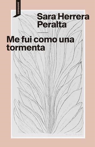 ME FUI COMO UNA TORMENTA | 9788419490407 | HERRERA PERALTA, SARA | Llibreria Geli - Llibreria Online de Girona - Comprar llibres en català i castellà