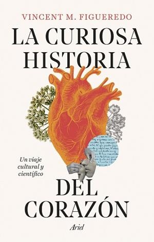 LA CURIOSA HISTORIA DEL CORAZÓN | 9788434438392 | FIGUEREDO, VINCENT M. | Llibreria Geli - Llibreria Online de Girona - Comprar llibres en català i castellà